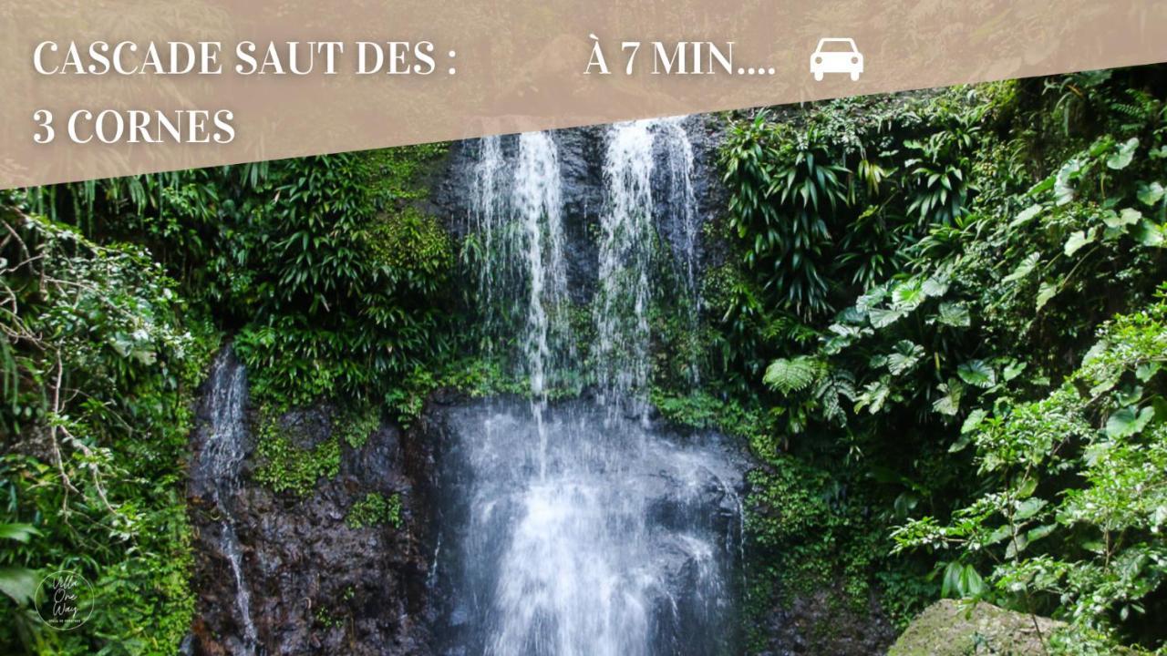 Villa Oneway, Piscine Privee, Classee 3 Etoiles Sainte-Rose Luaran gambar